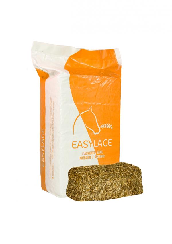 Ryegrass - 1 fetta
